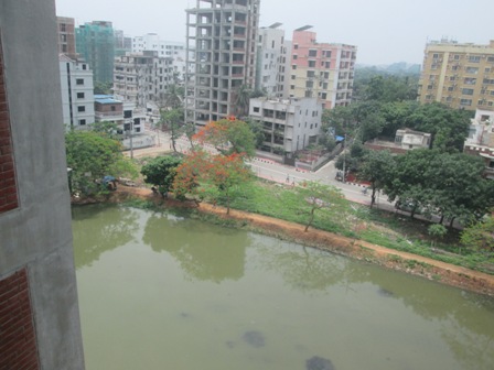 Apartment rent in Banani